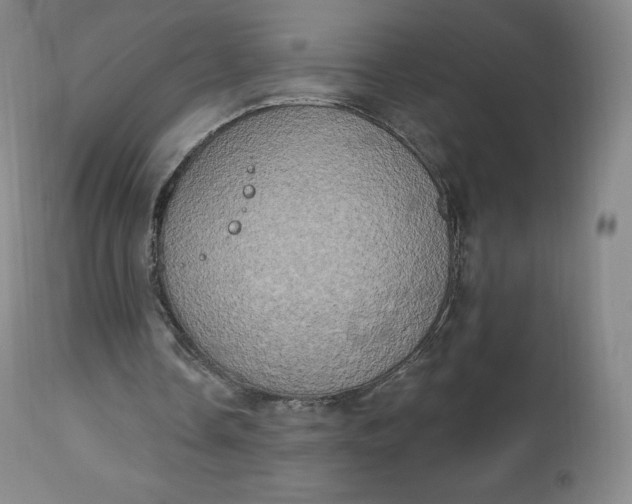 X0000112860338200909041558