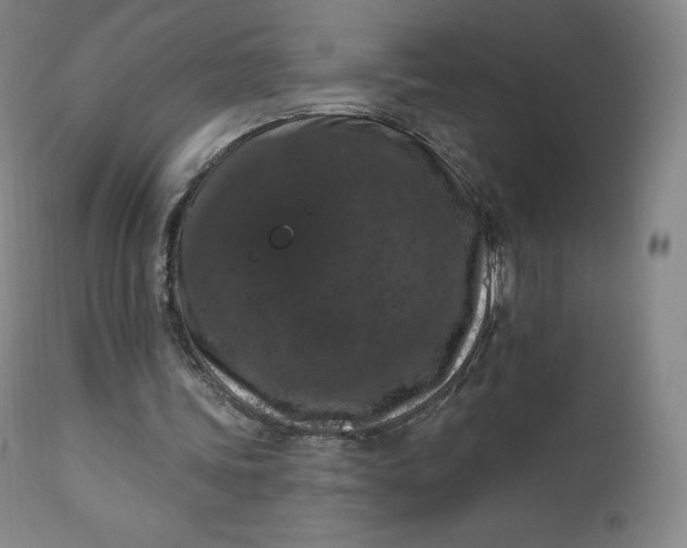 X0000112860339200909041558