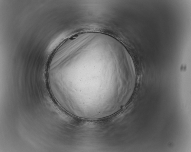 X0000112860341200909041558