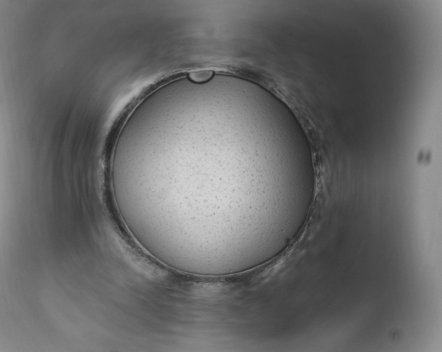 X0000112860342200909041558