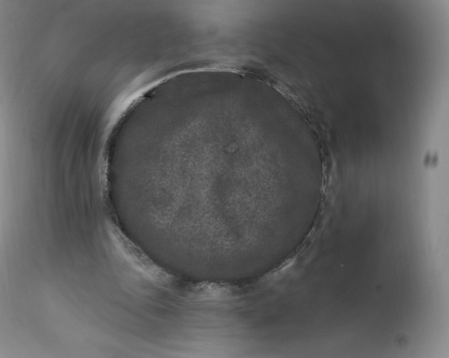 X0000112860343200909041558