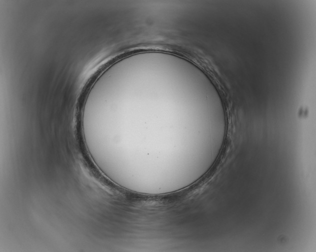 X0000112860344200909041558