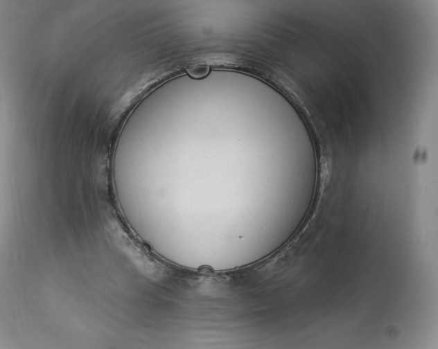 X0000112860345200909041558