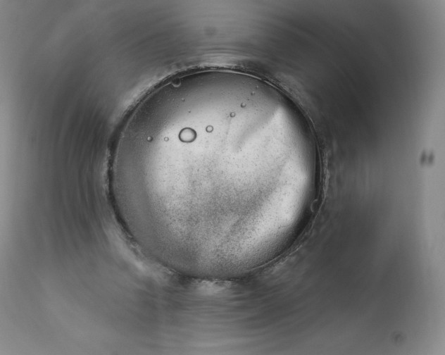 X0000112860346200909041558