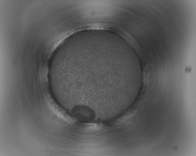 X0000112860347200909041558