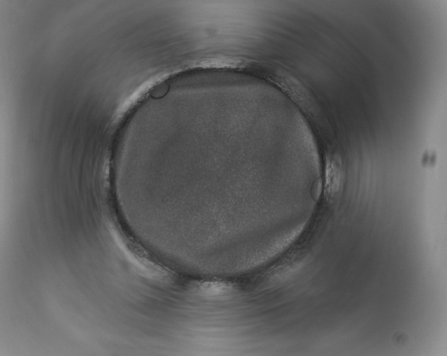 X0000112860348200909041559