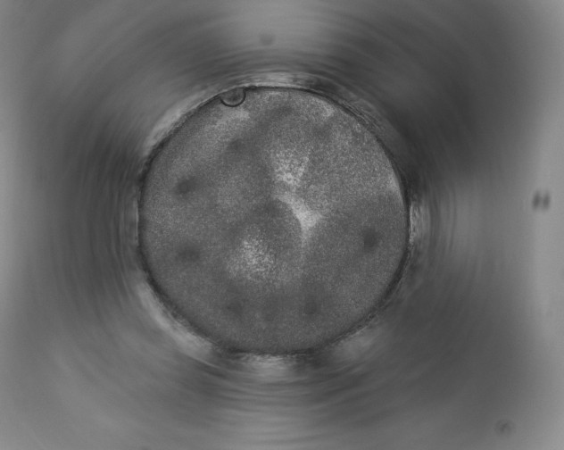 X0000112860349200909041559