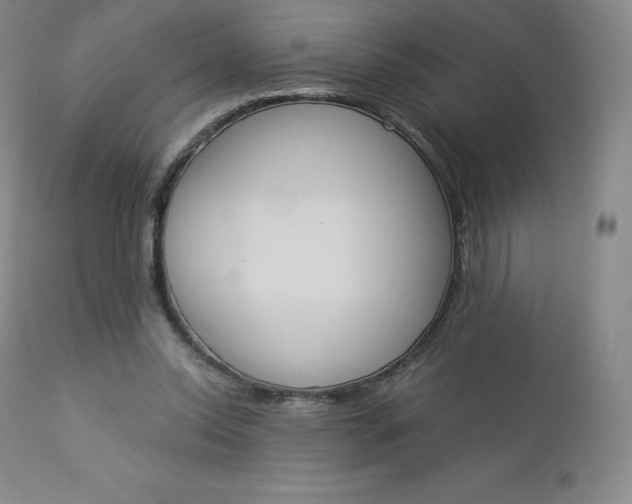 X0000112860350200909041559