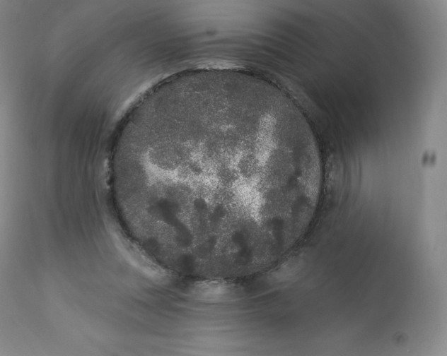 X0000112860351200909041559