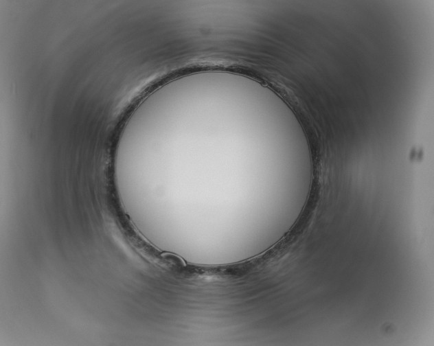 X0000112860352200909041559