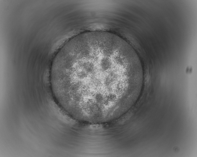 X0000112860353200909041559