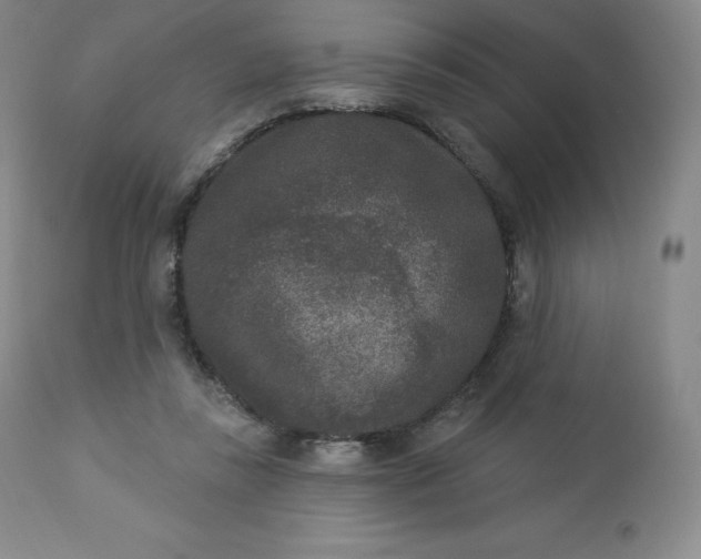 X0000112860355200909041559