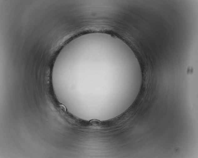 X0000112860356200909041559