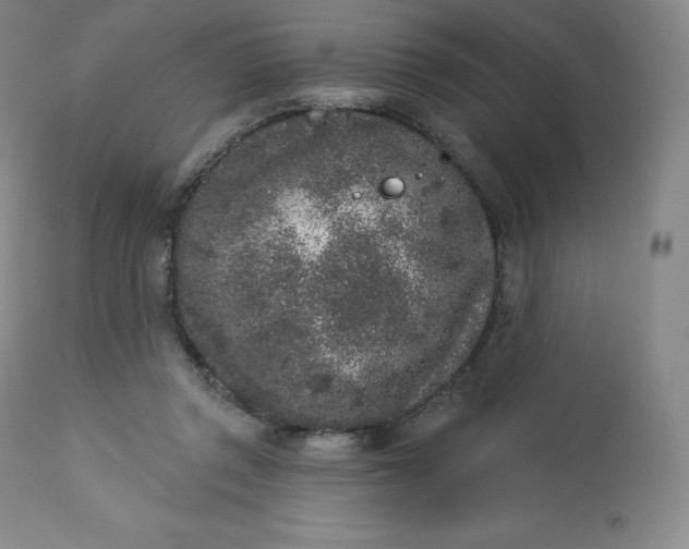 X0000112860357200909041559