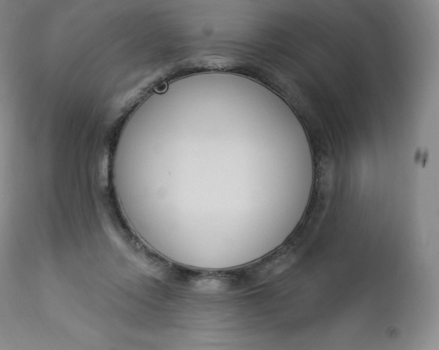 X0000112860358200909041559