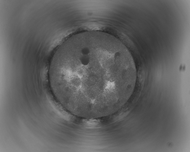 X0000112860359200909041559