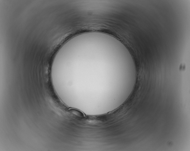 X0000112860360200909041559