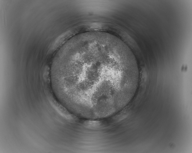 X0000112860361200909041559