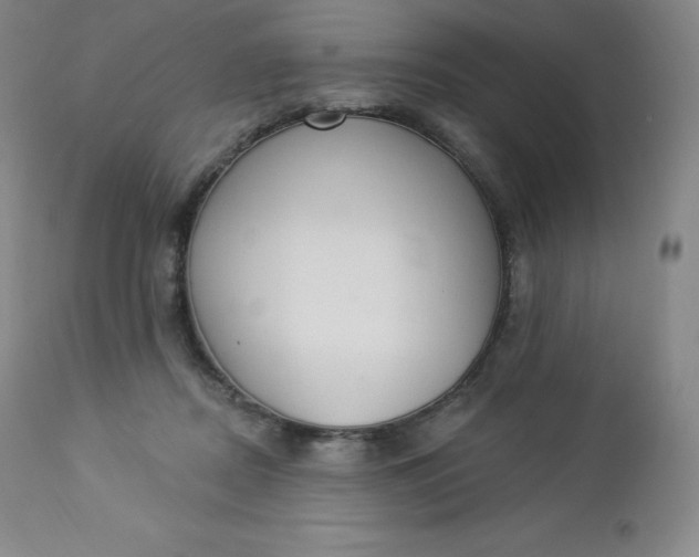 X0000112860362200909041559