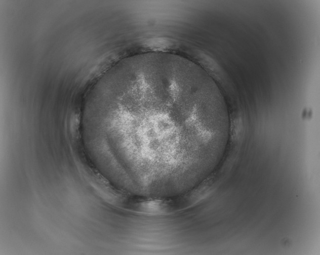 X0000112860365200909041559