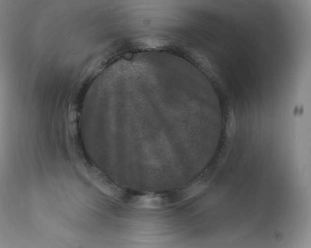 X0000112860366200909041559