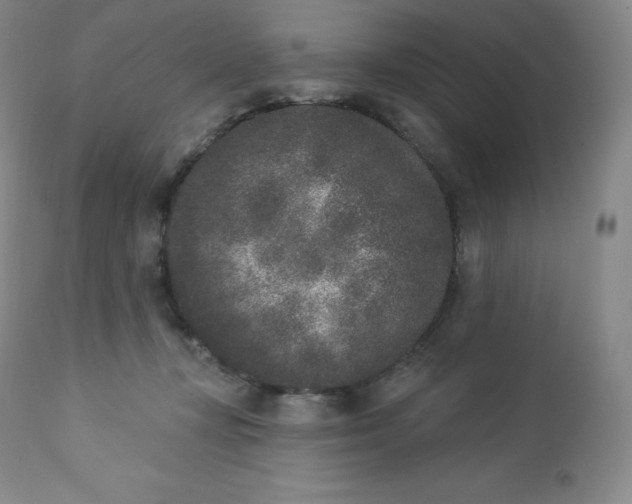 X0000112860367200909041559