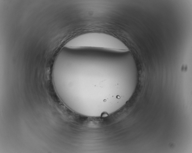 X0000112860368200909041559