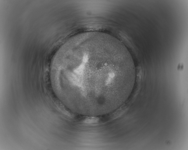 X0000112860369200909041559