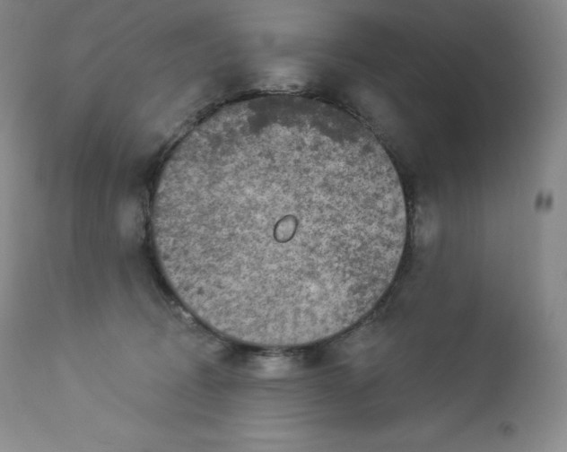 X0000112860370200909041559