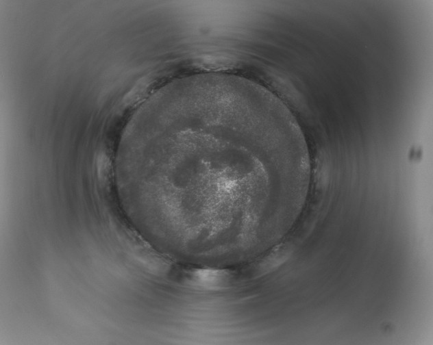 X0000112860371200909041559