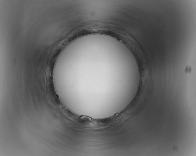 X0000112860372200909041559