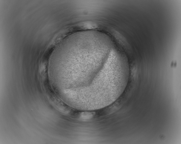 X0000112860373200909041559