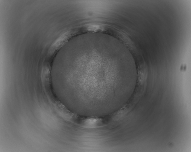 X0000112860375200909041559