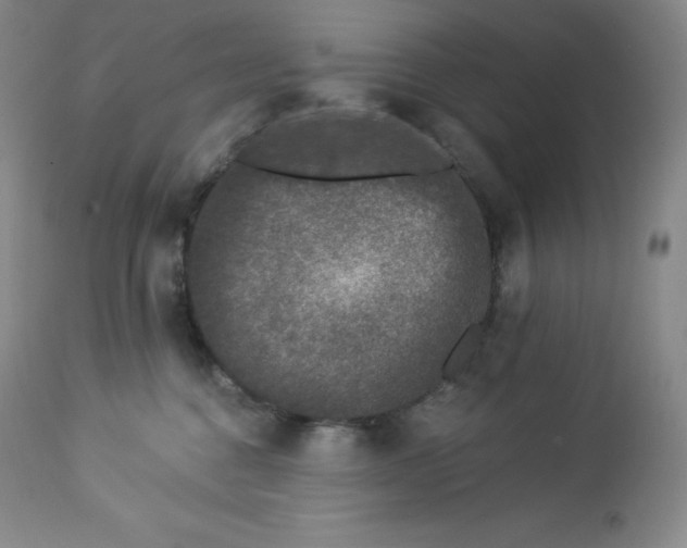 X0000112860376200909041559