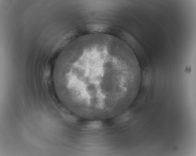 X0000112860377200909041559