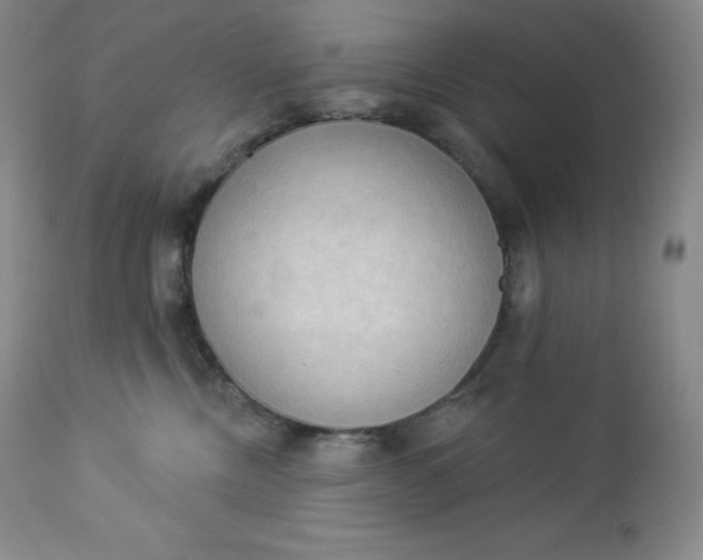 X0000112860378200909041559