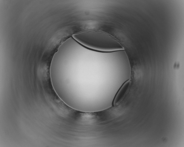 X0000112860380200909041559