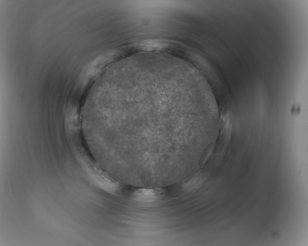 X0000112860381200909041559