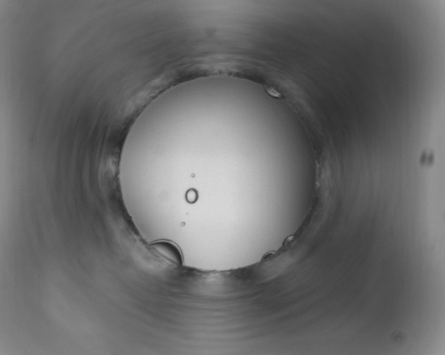 X0000112860382200909041559