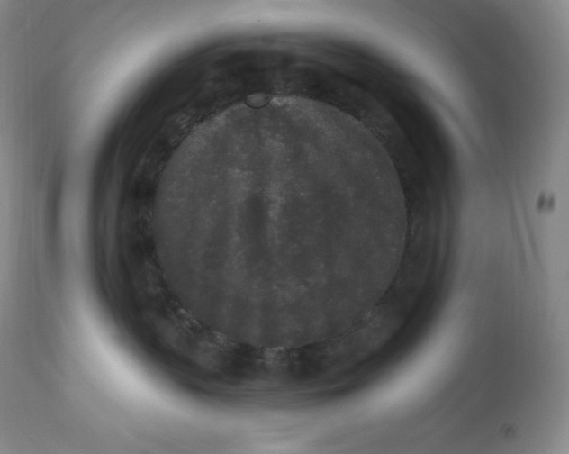 X0000112860383200909041559