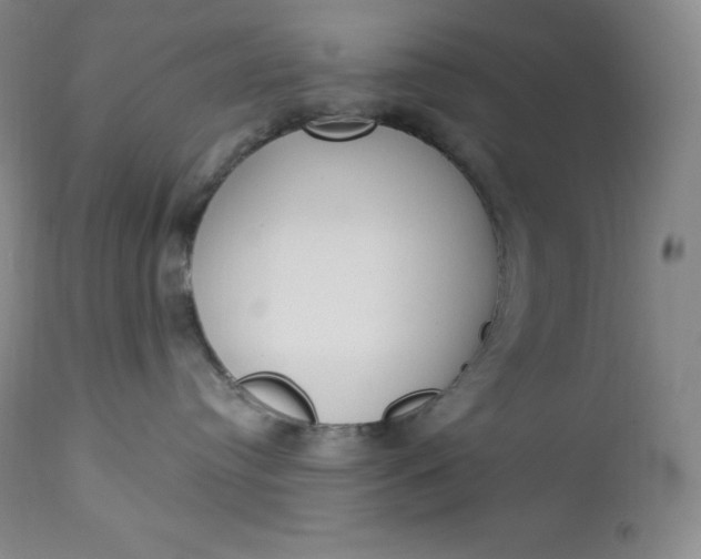 X0000112860384200909041559