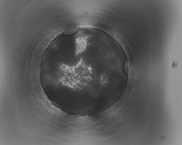 X0000112860385200909041558