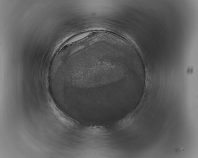 X0000112860386200909041558