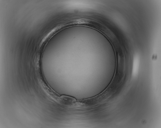 X0000112860387200909041558