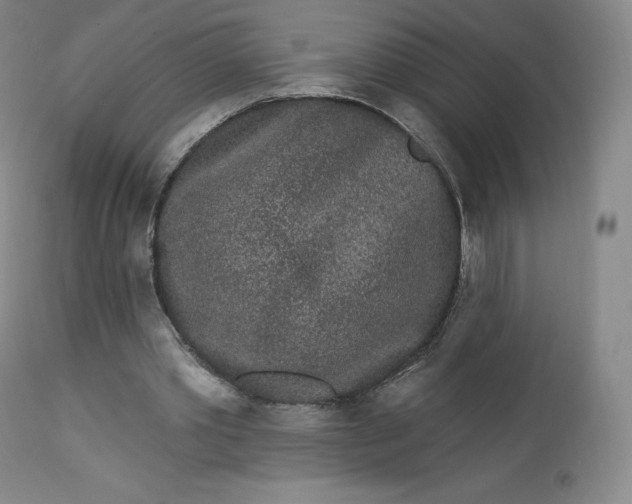 X0000112860389200909041558