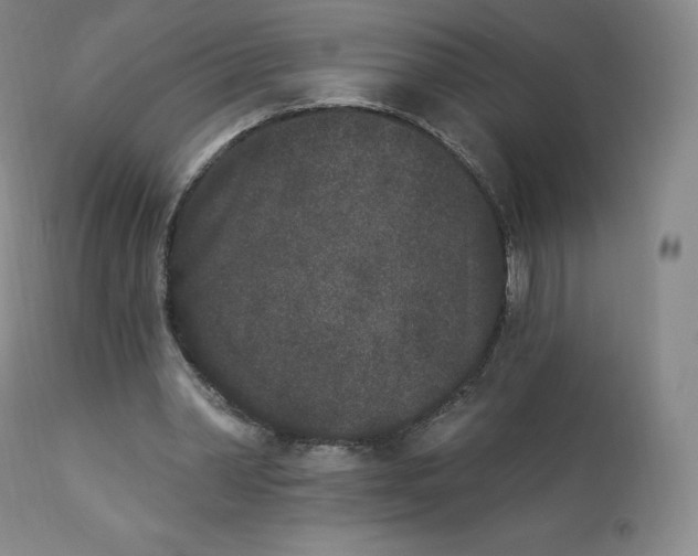 X0000112860390200909041558