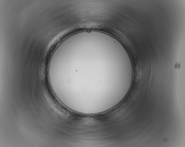 X0000112860392200909041558