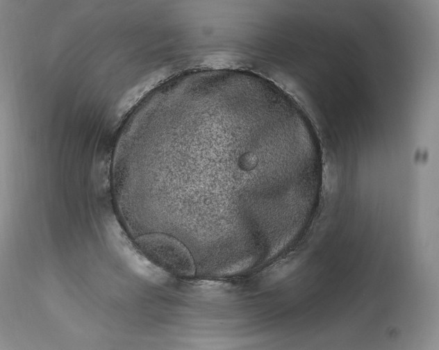 X0000112860393200909041558