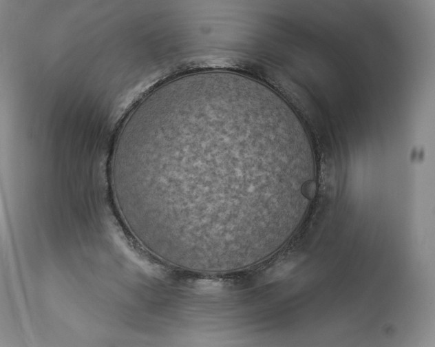 X0000112860394200909041558