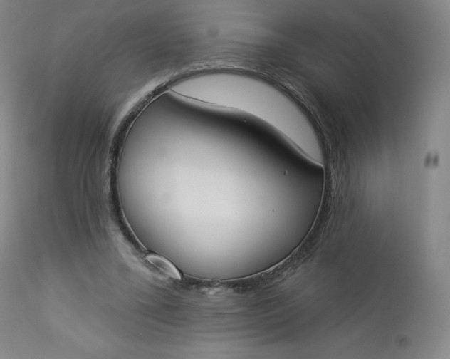 X0000112860395200909041558